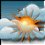 Weather icon